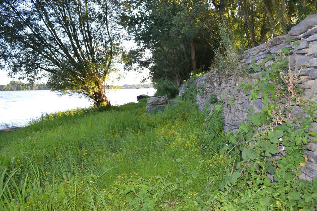 Gite Dagueloire La Dagueniere Exterior foto